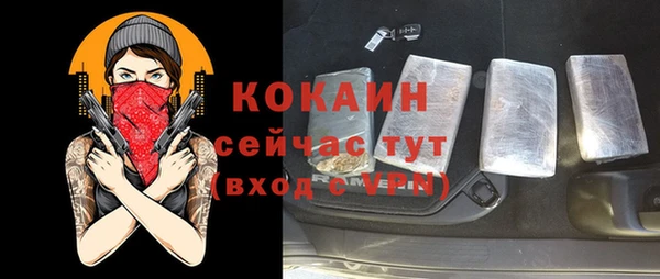 мяу мяу мука Дмитриев