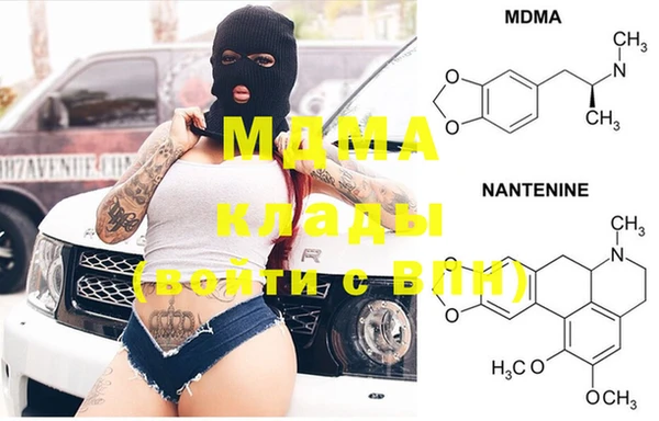 мяу мяу мука Дмитриев