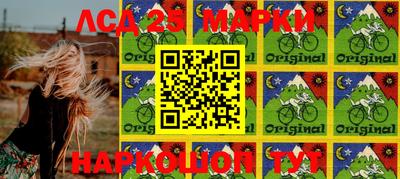 PSILOCYBIN Гатчина