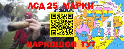 PSILOCYBIN Гатчина