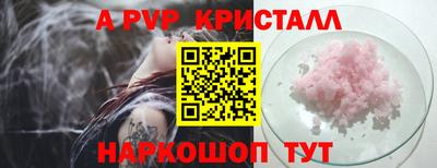 PSILOCYBIN Гатчина