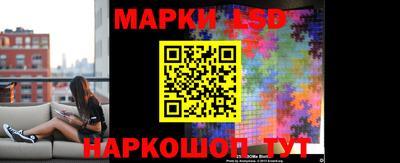 PSILOCYBIN Гатчина