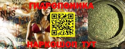 PSILOCYBIN Гатчина
