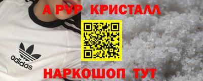 PSILOCYBIN Гатчина