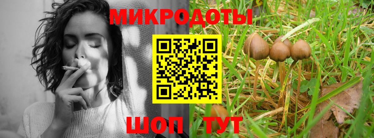 Галлюциногенные грибы GOLDEN TEACHER Знаменск