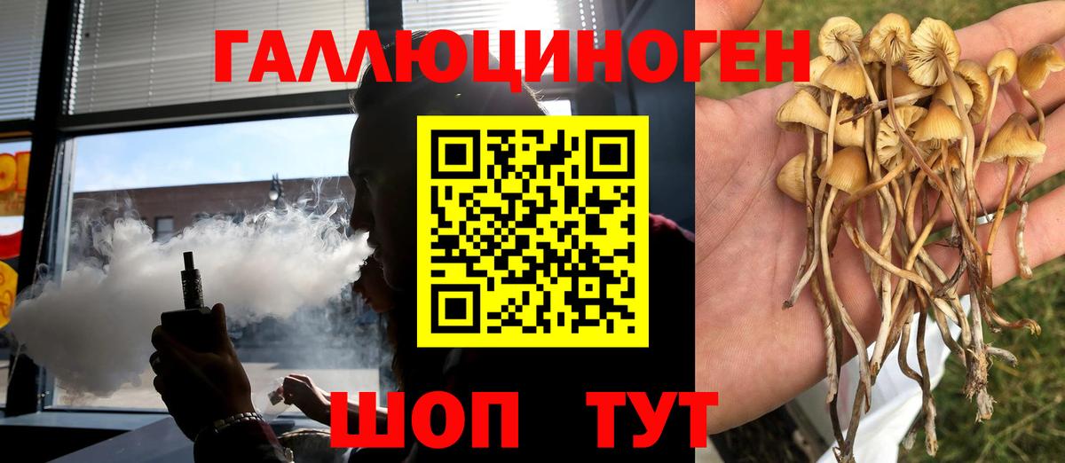 Знаменск  Псилоцибиновые грибы Magic Shrooms  Вход с VPN 